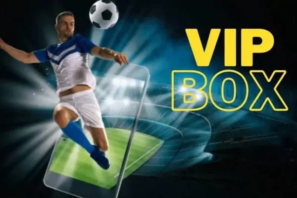 VIP Box: Unveiling the Ultimate Sports Viewing Experience